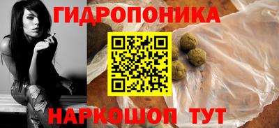 тгк Кингисепп