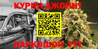 тгк Кингисепп