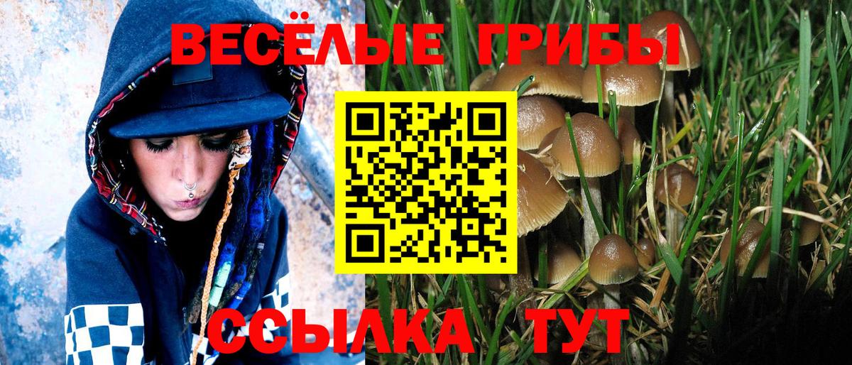 Мефедрон кристаллы  ГАШ  КЕТАМИН  Гашиш  COCAIN  Вход с VPN  Кудымкар  Марихуана 