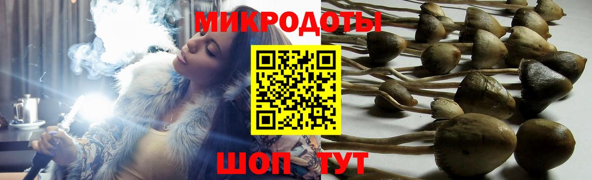 Галлюциногенные грибы мухоморы Кудымкар