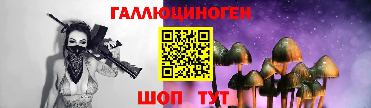Псилоцибиновые грибы мухоморы  Псилоцибиновые грибы GOLDEN TEACHER  Вход с VPN  Кудымкар 